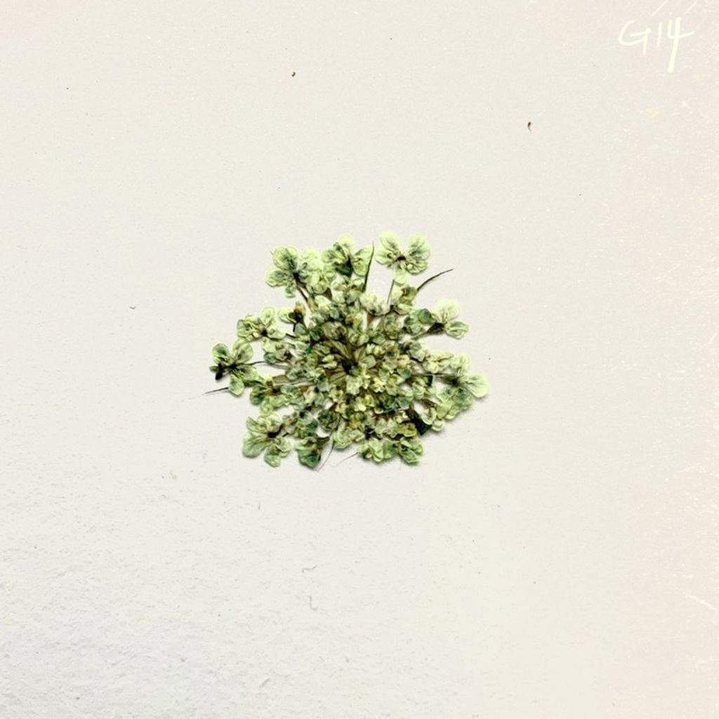 tw-11134201-23030-4kqozj7jlkovb6