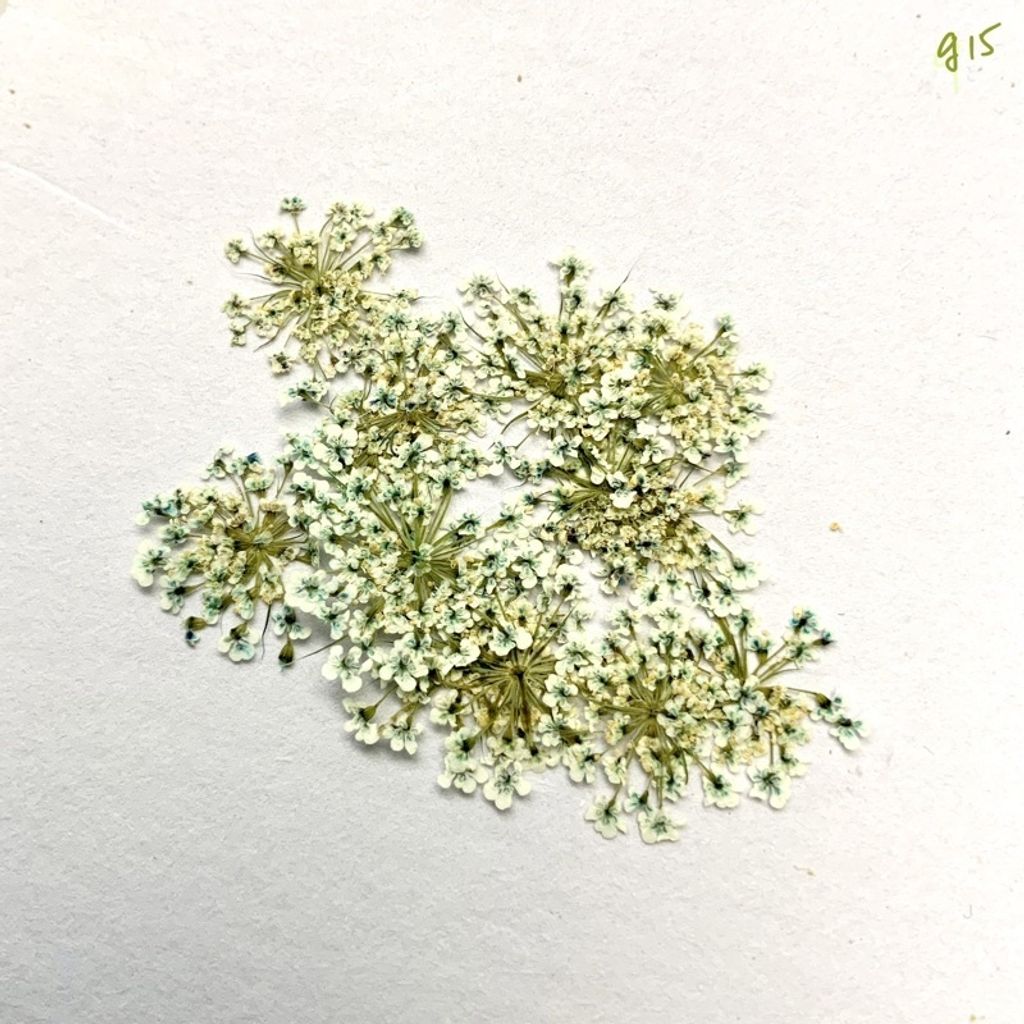 tw-11134201-23030-8vxc0yeklkov39