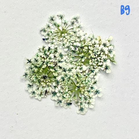 tw-11134201-23030-jhy1kedilkov8b