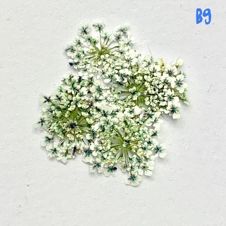 tw-11134201-23030-jhy1kedilkov8b