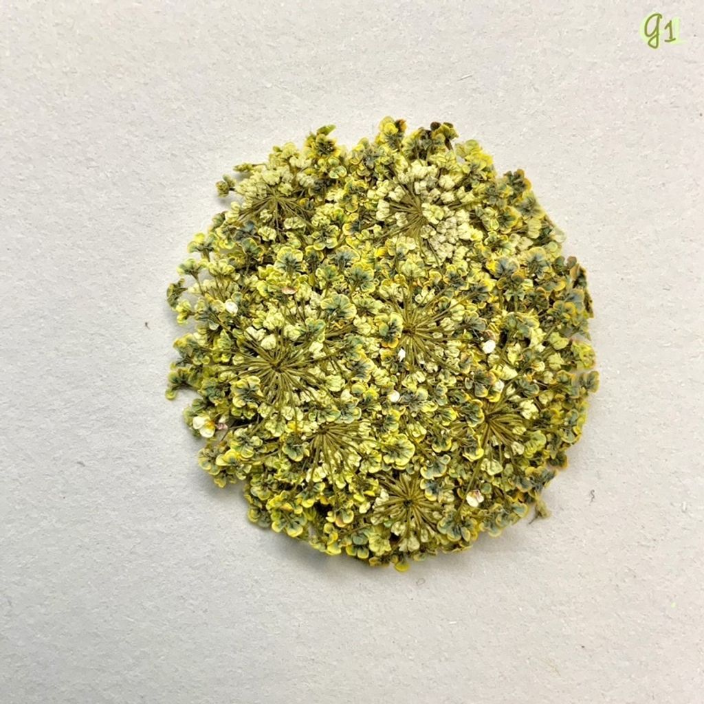 tw-11134201-23030-uwqmaodilkov27