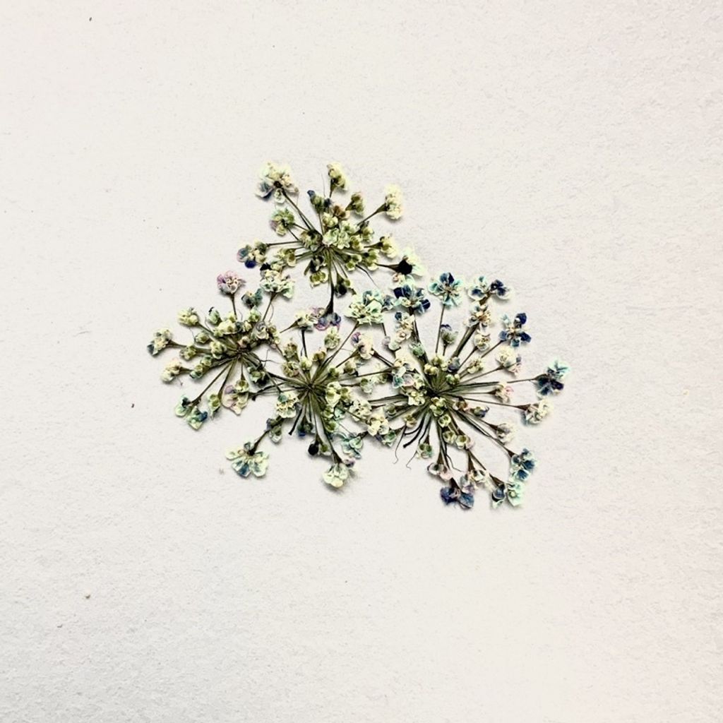 tw-11134201-23030-3u3919cilkov9f