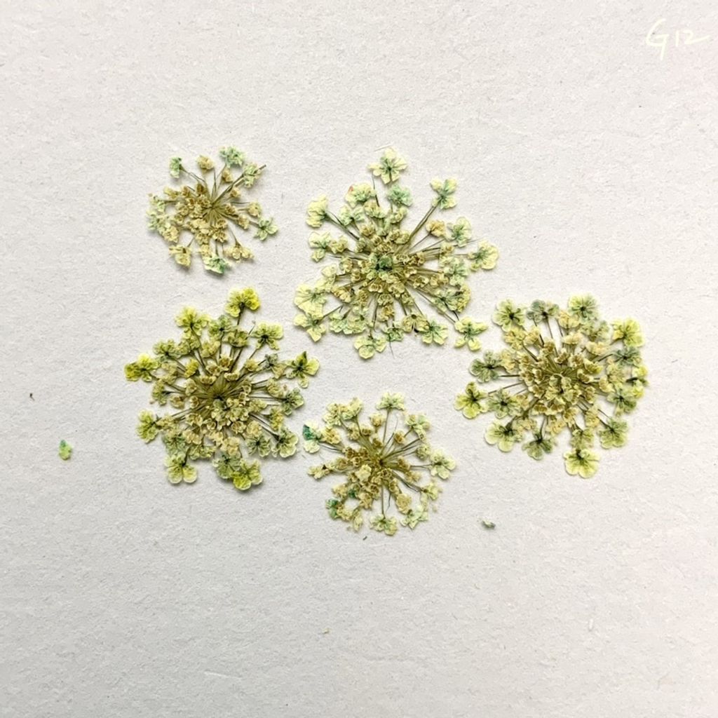 tw-11134201-23030-qx1rokdilkovfe