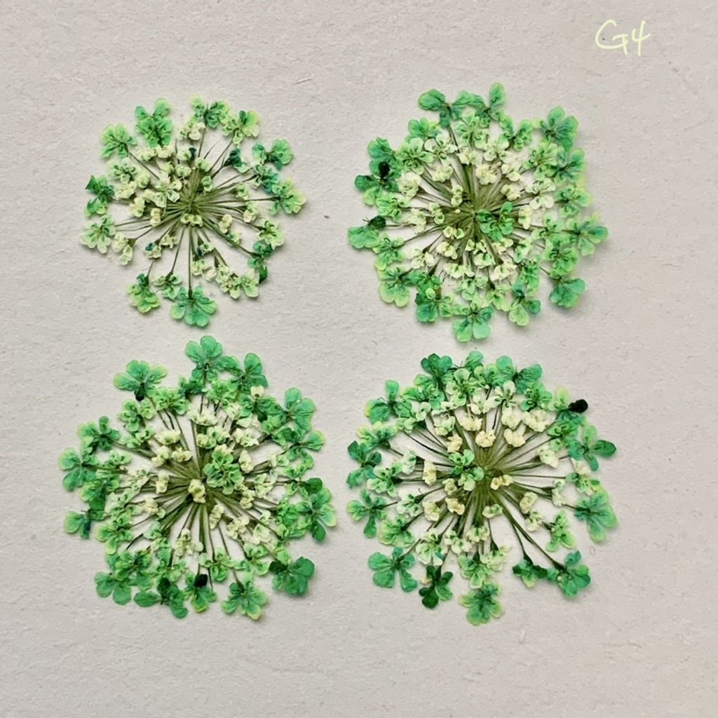 tw-11134201-23030-b8kpcmdilkov70