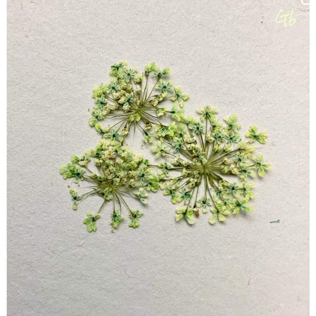 tw-11134201-23030-rjpxsgdilkov41