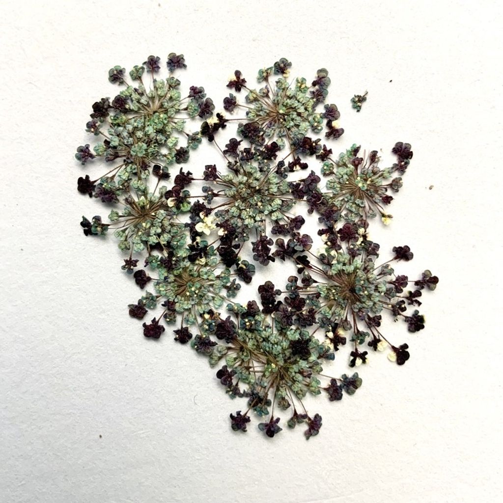 tw-11134201-23030-8z1lhvbx5iovbd