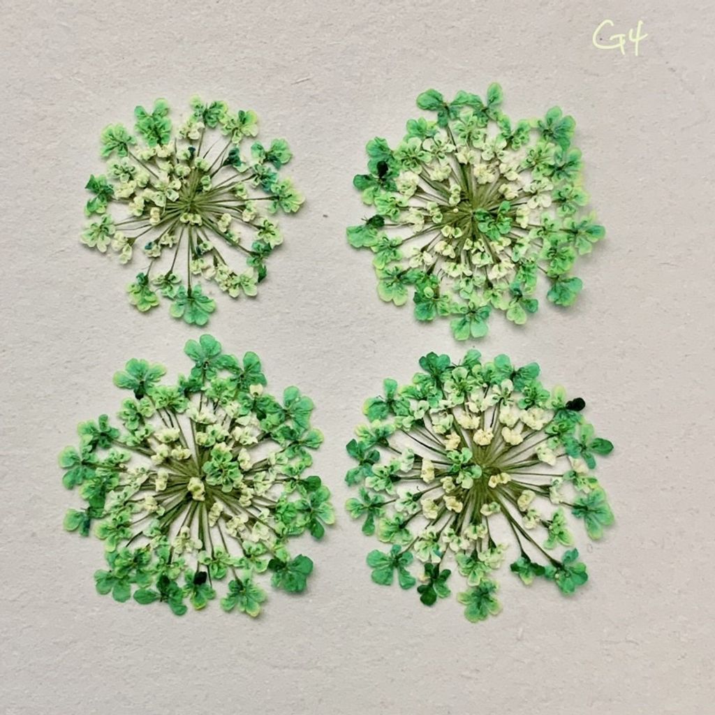 tw-11134201-23030-7tcnnpx15iov84