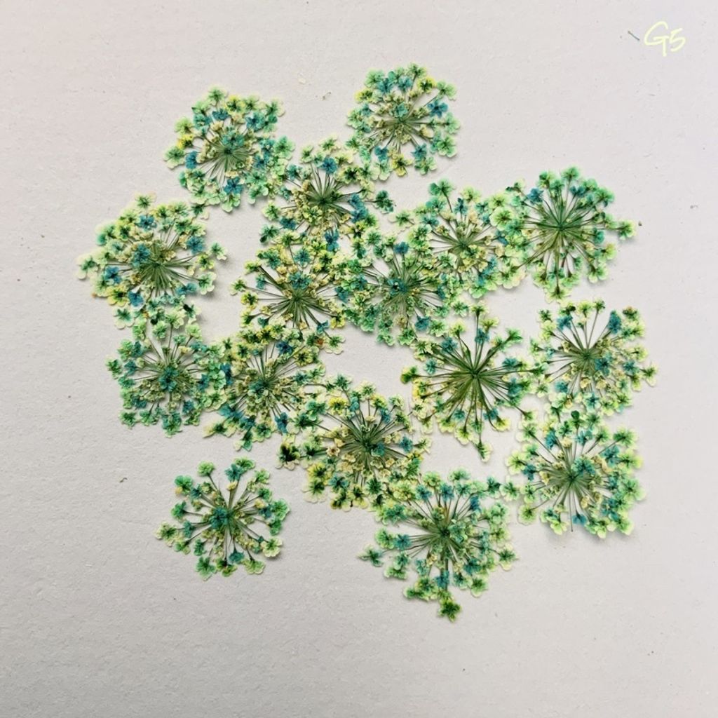 tw-11134201-23030-eccxv1m35iov84