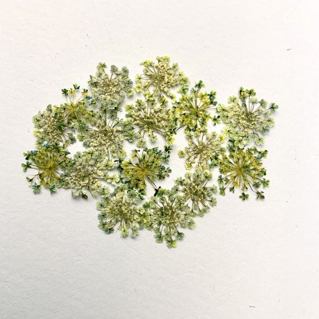 tw-11134201-23030-ew8mgd935iov9f