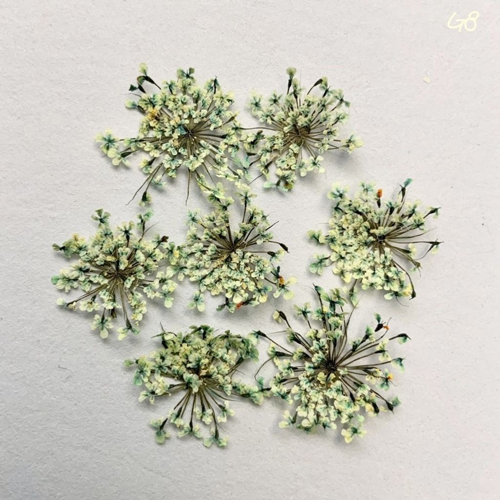 tw-11134201-23030-z2k9use45iovf8