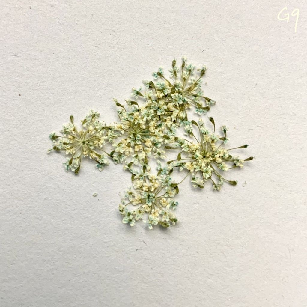 tw-11134201-23030-7tsjnzz55iov75