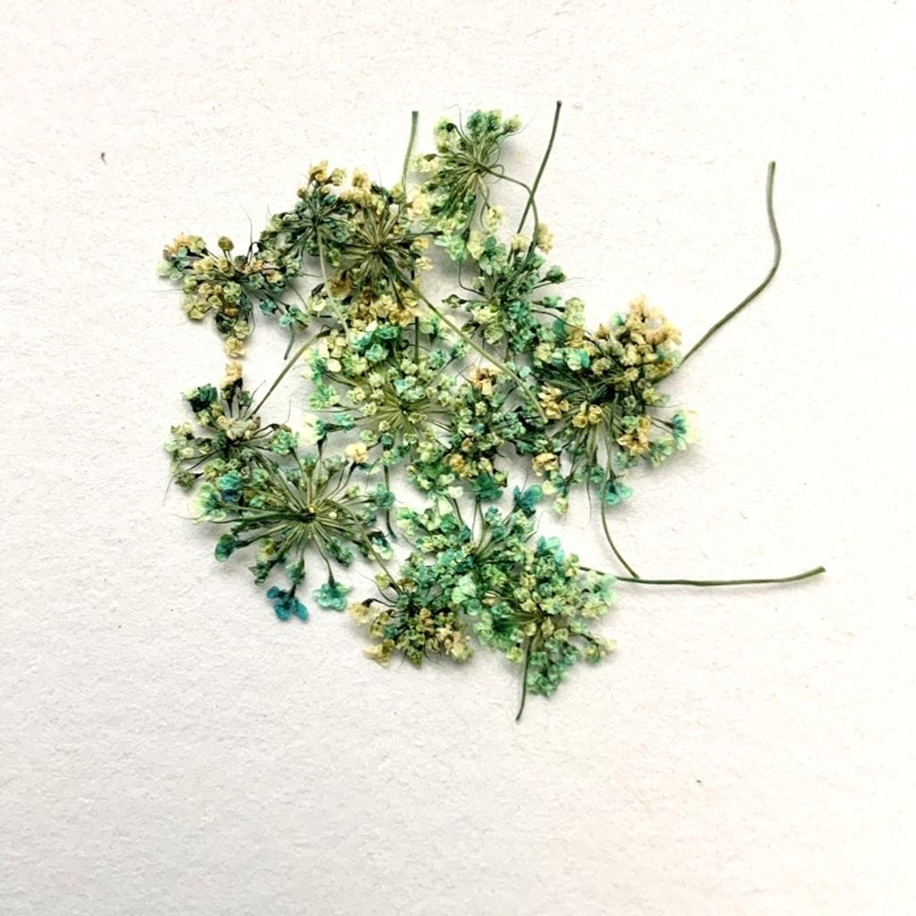 tw-11134201-23030-axx1jfh65iovd5