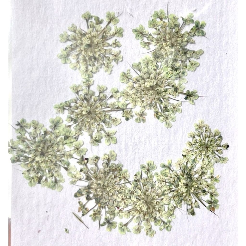 tw-11134201-23020-izwt9d7dg1nv6c