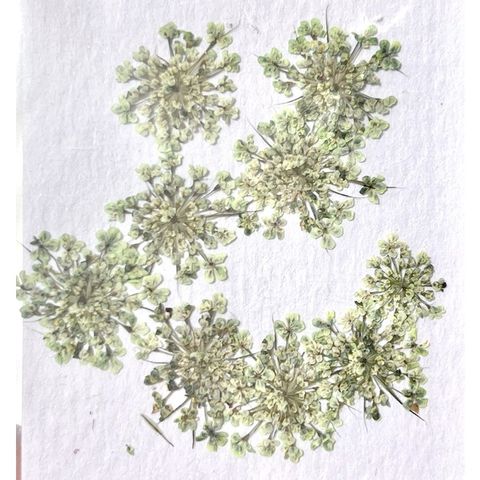 tw-11134201-23020-izwt9d7dg1nv6c