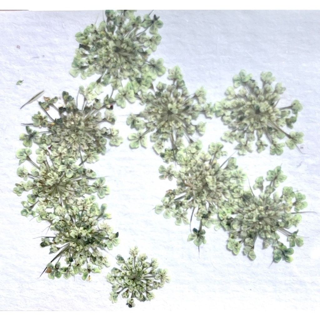 tw-11134201-23020-3qn5u86dg1nv3a