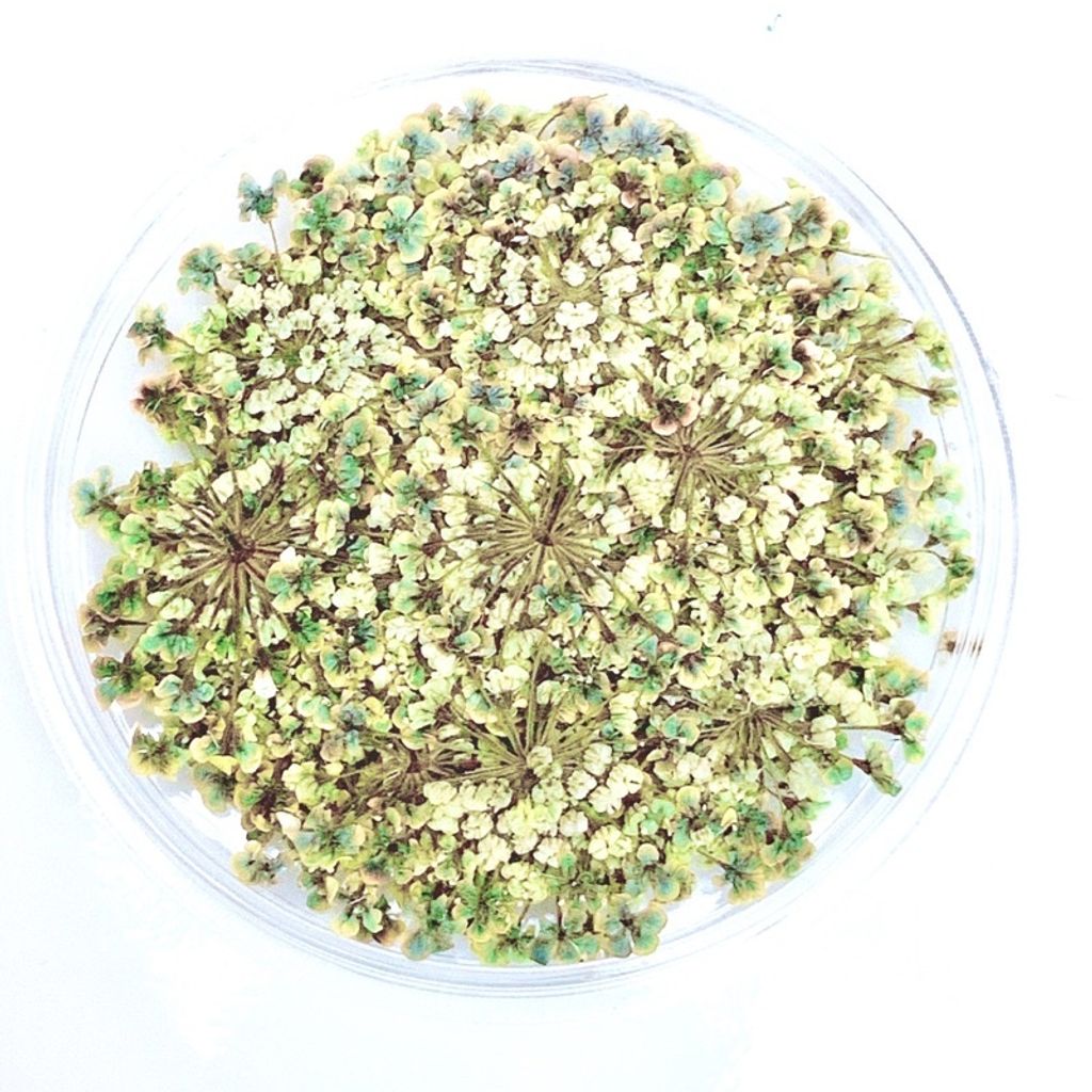 tw-11134201-23020-atup1g7dg1nv37