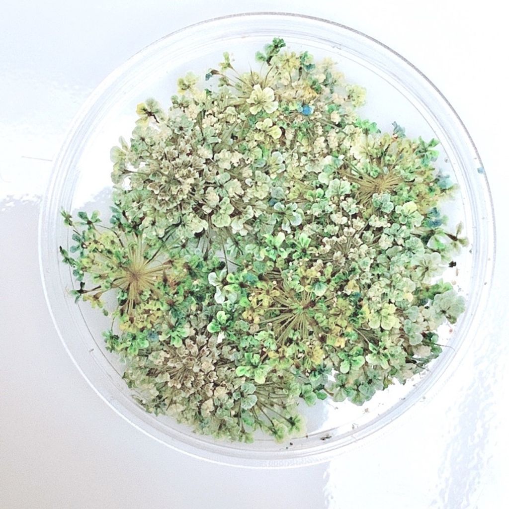 tw-11134201-23020-iruqah7dg1nvee