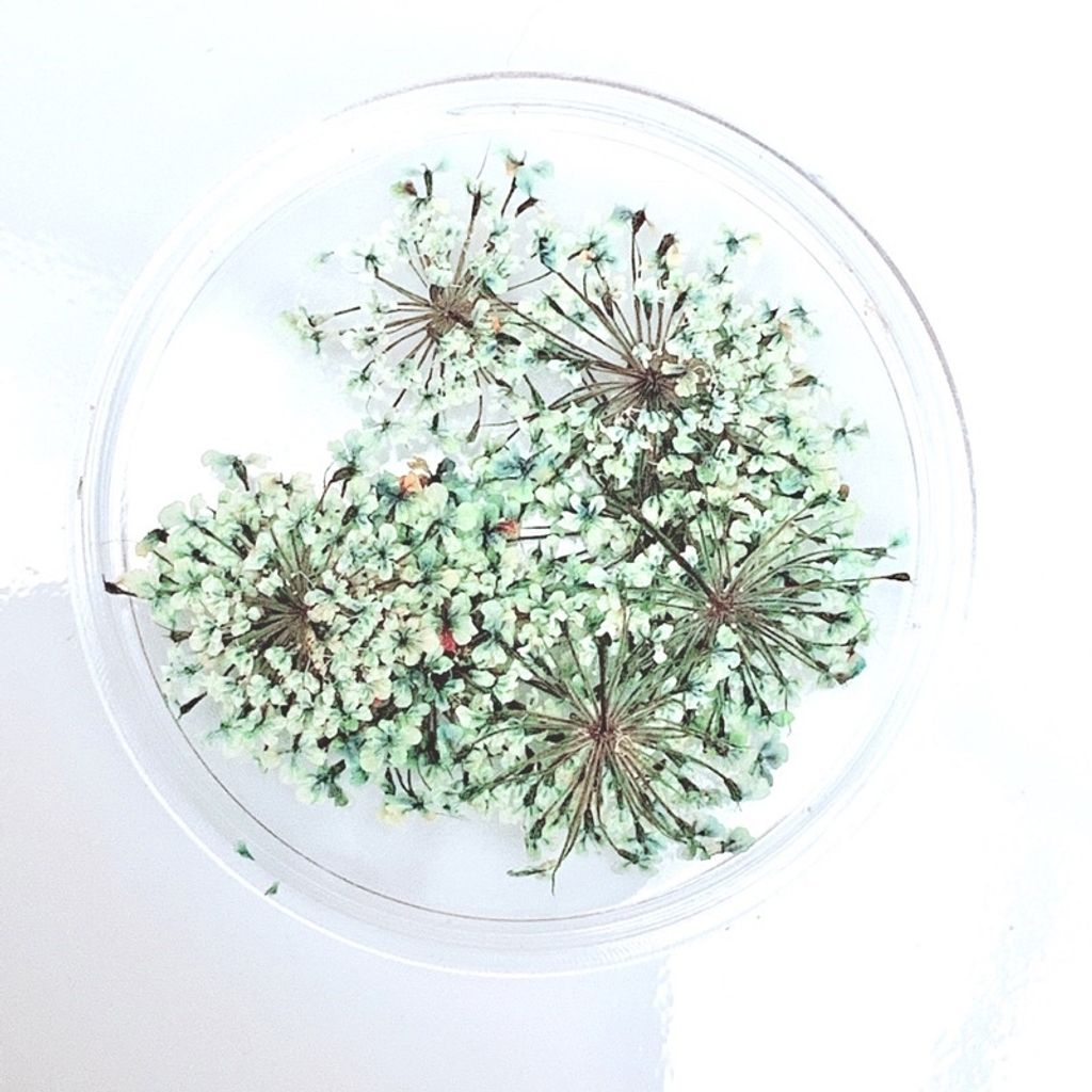 tw-11134201-23020-oht1i06dg1nva2