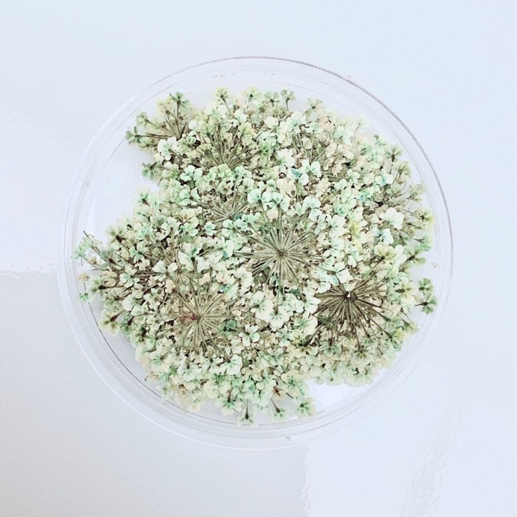 tw-11134201-23020-5hky1b7dg1nvba