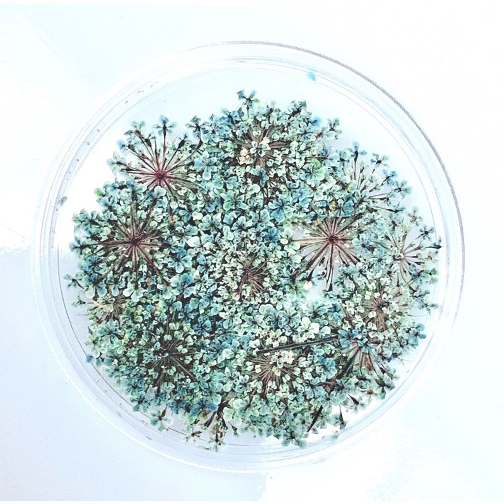 tw-11134201-23020-sg8dnmczg1nv18