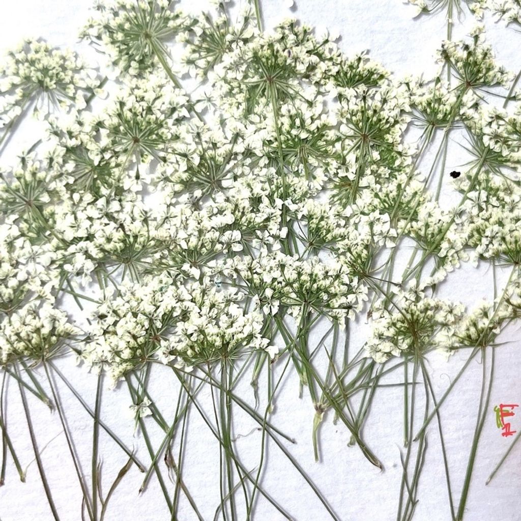 tw-11134201-23030-f7mpagqjmkovaf