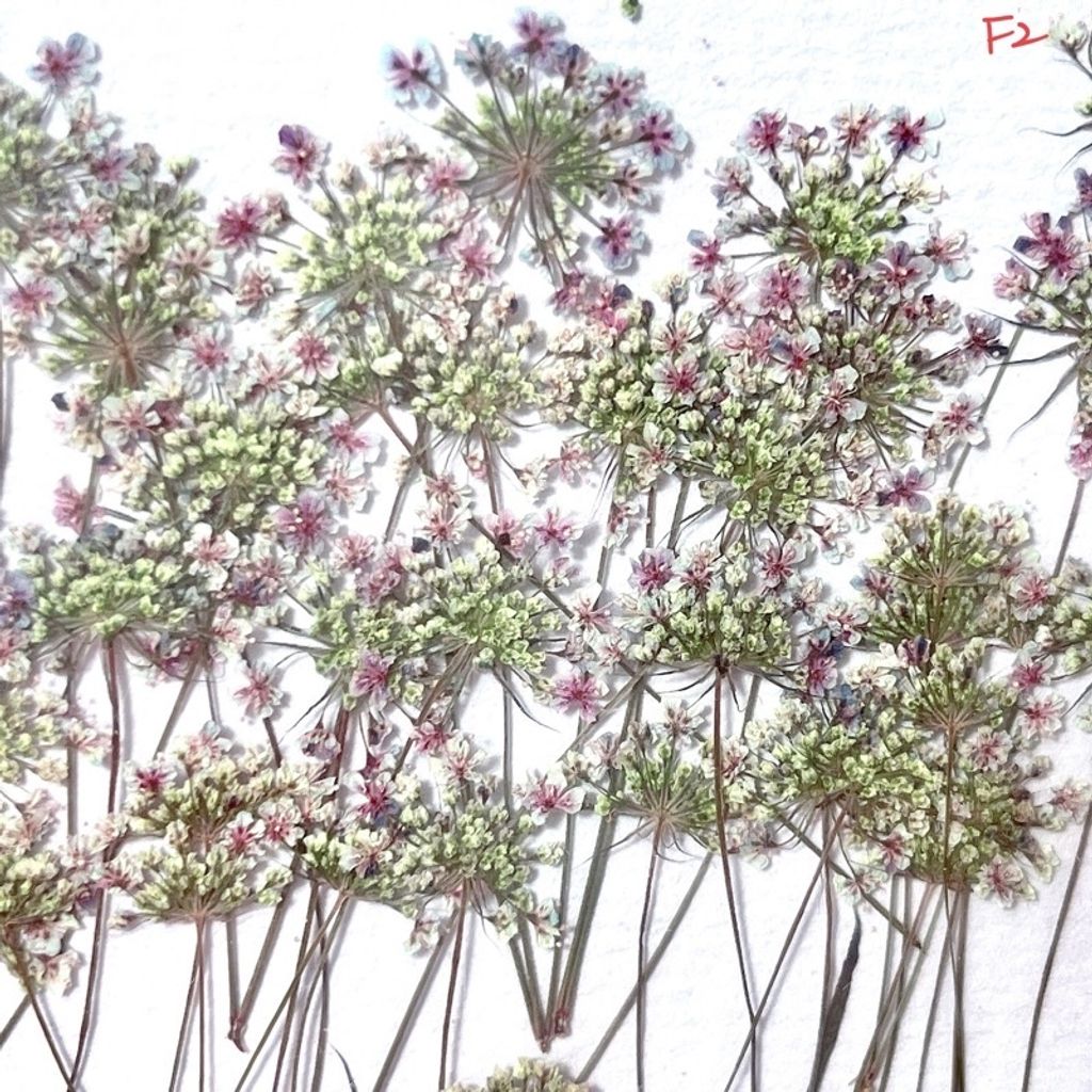 tw-11134201-23030-fau6mj7jmkovc6