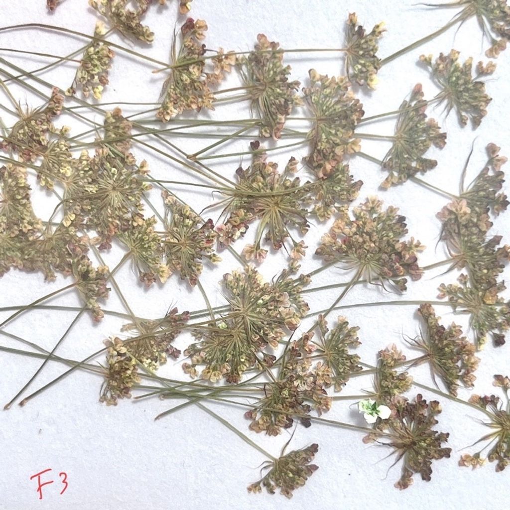 tw-11134201-23030-8ra54dqkmkov90