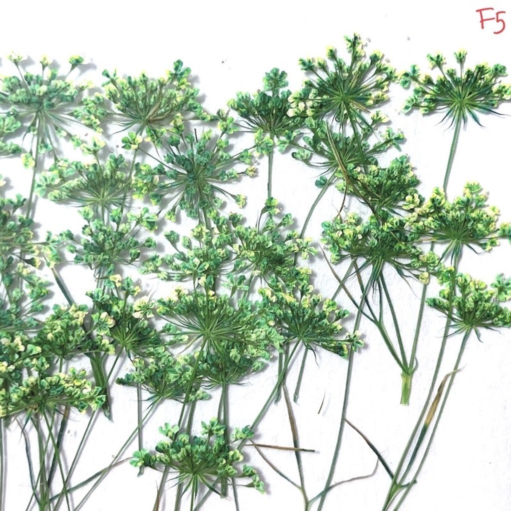 tw-11134201-23030-y8p52qwlmkovf3