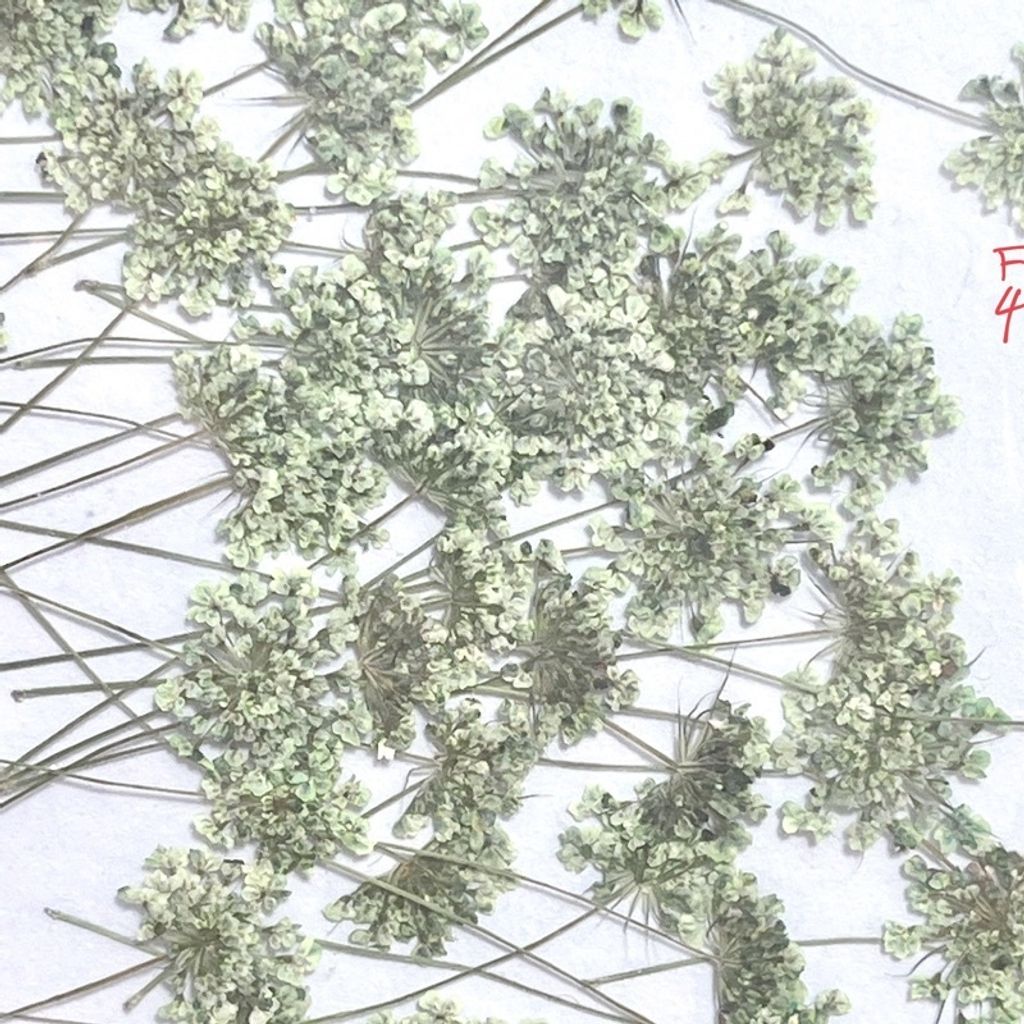 tw-11134201-23030-ekmitrqnmkov18