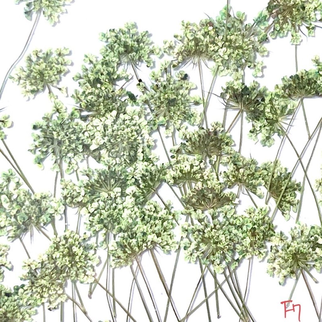 tw-11134201-23030-myiv3x4pmkov48