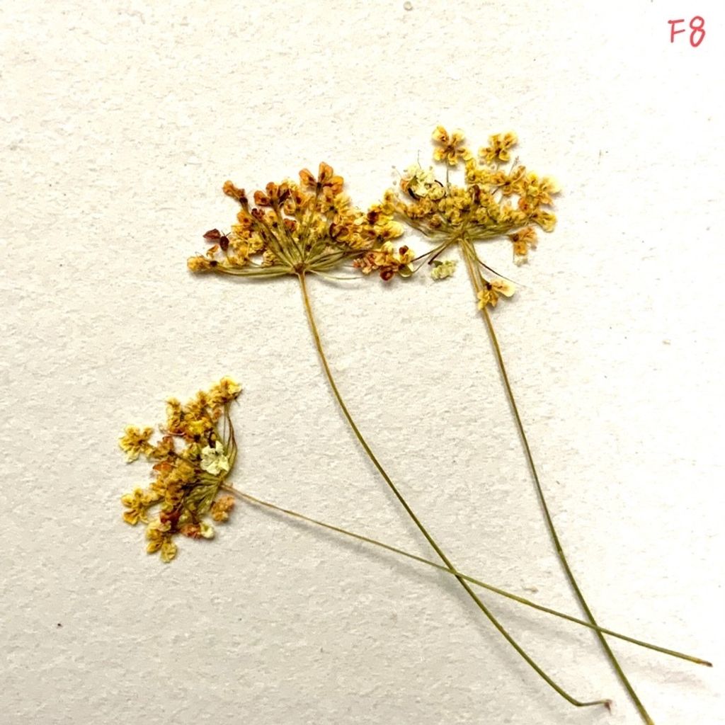 tw-11134201-23030-mmxua4mqmkov89