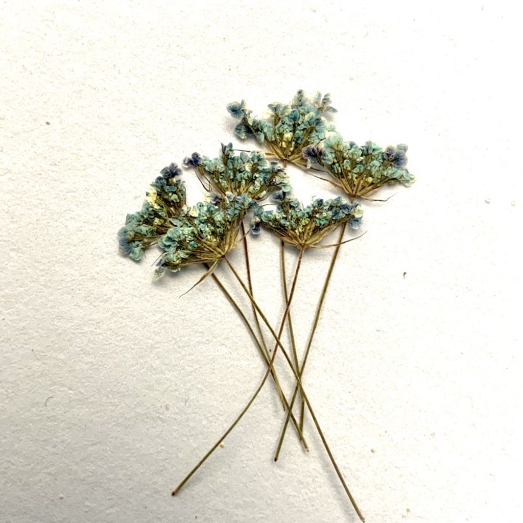 tw-11134201-23030-76tgjvuqmkova8