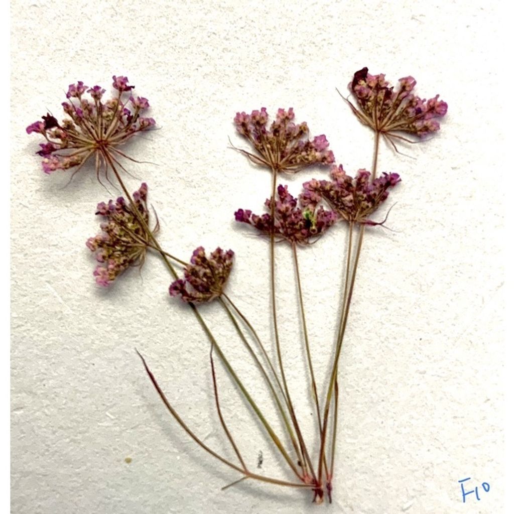 tw-11134201-23030-bb90el5qmkove0