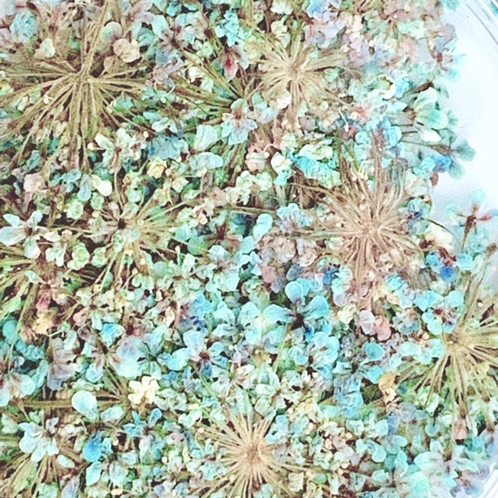 tw-11134201-23030-y86sfaxaiiovd9