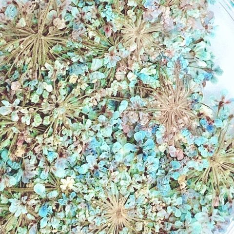 tw-11134201-23030-y86sfaxaiiovd9