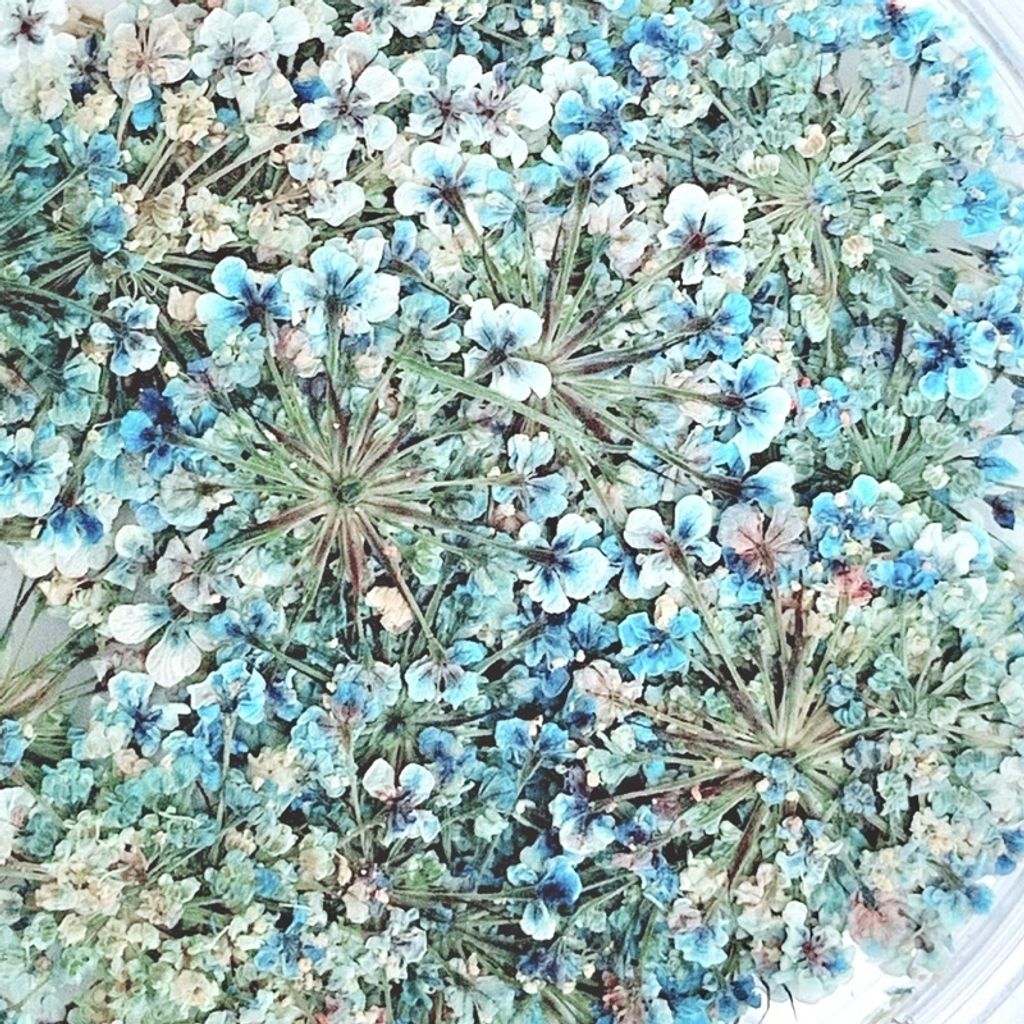 tw-11134201-23030-37vn2dxaiiova0