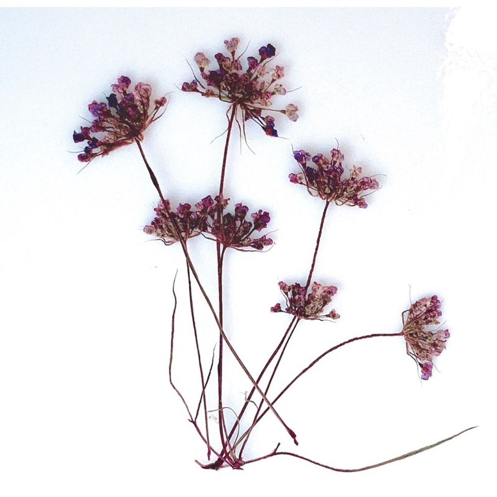 tw-11134201-23030-a0uihffimkova4