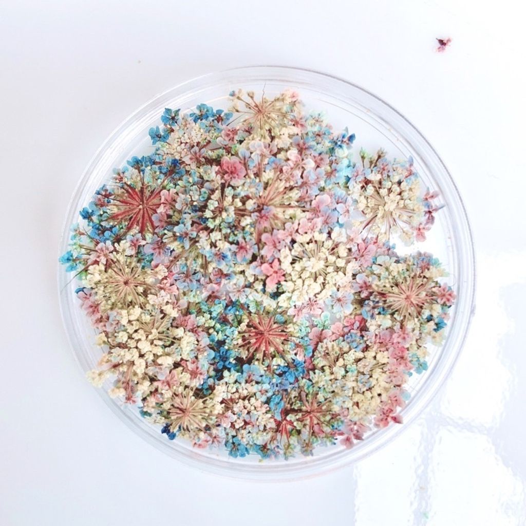 tw-11134201-23030-4c1qpyvaiiov03