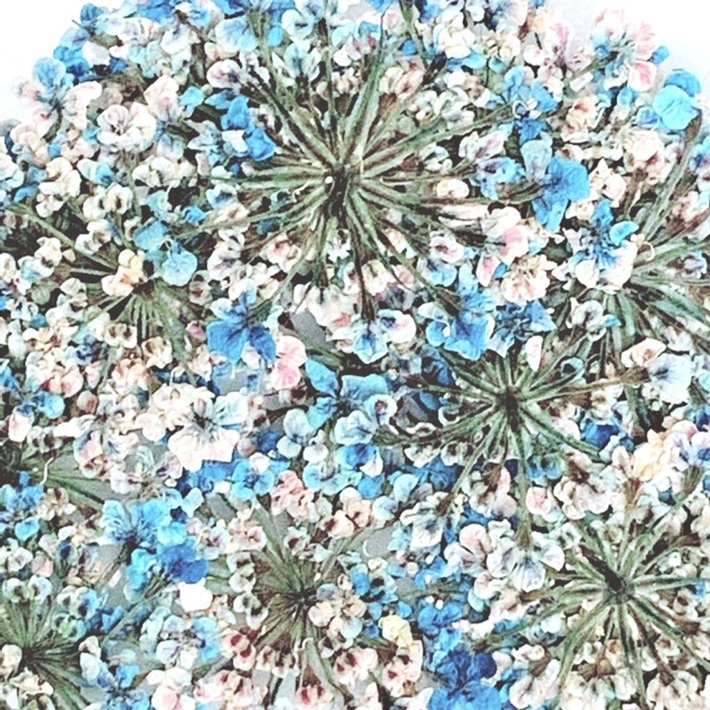 tw-11134201-23030-qp3fy7fimkov3e