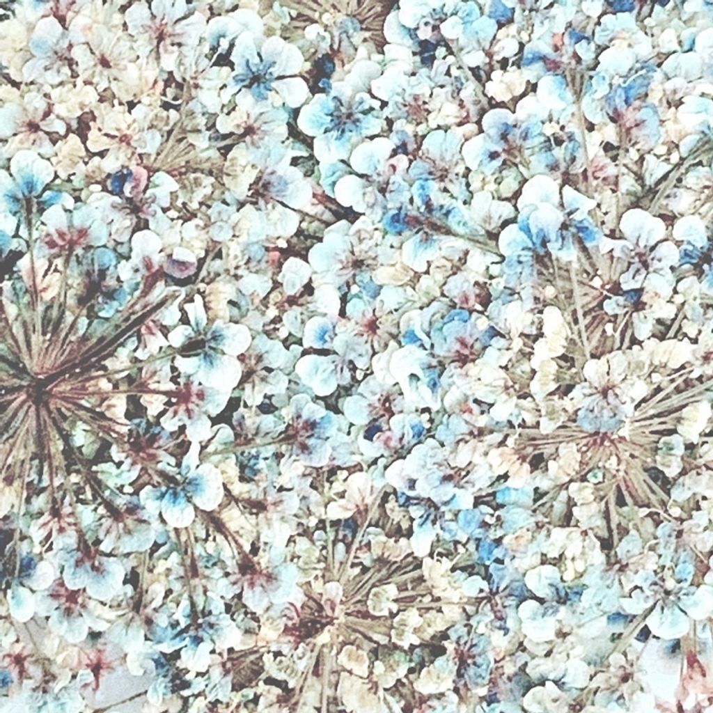 tw-11134201-23030-3i0d97fimkova5