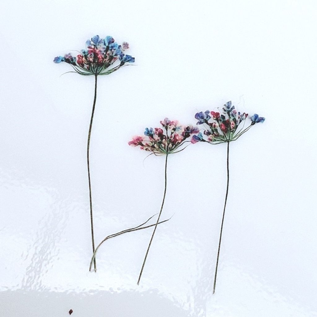 tw-11134201-23020-s99lgtvjtznv1c