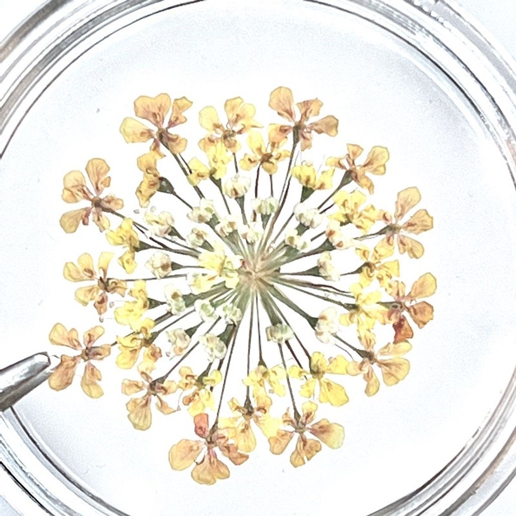 tw-11134201-23020-kyzh17xz1znv81