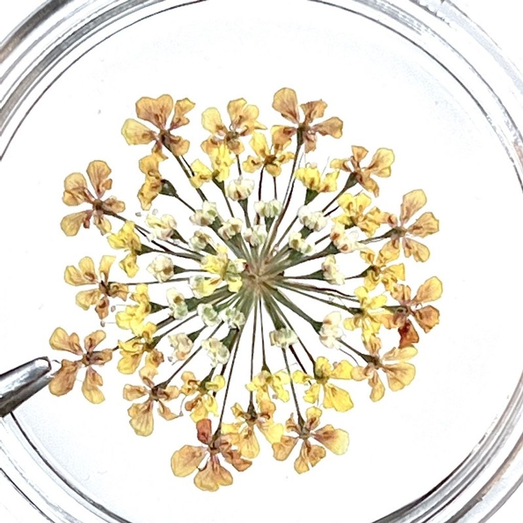 tw-11134201-23020-u9jvofoq1znv3b