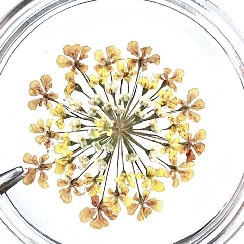 tw-11134201-23020-u9jvofoq1znv3b