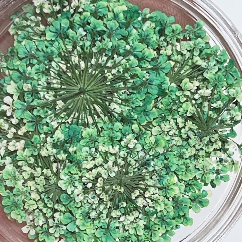 tw-11134201-23020-g4gb6qxq1znv61