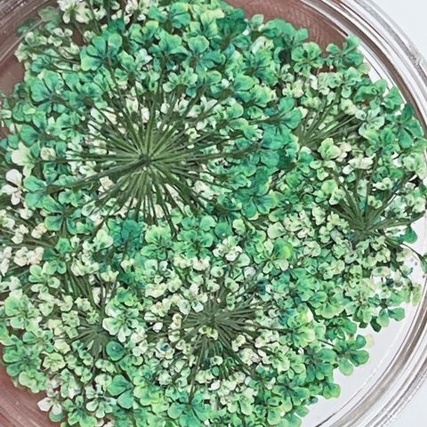 tw-11134201-23020-g4gb6qxq1znv61