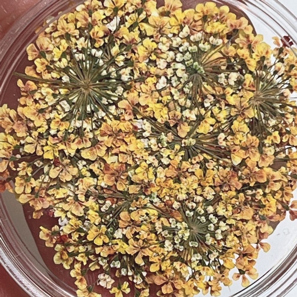 tw-11134201-23020-gbz31uxq1znvf0