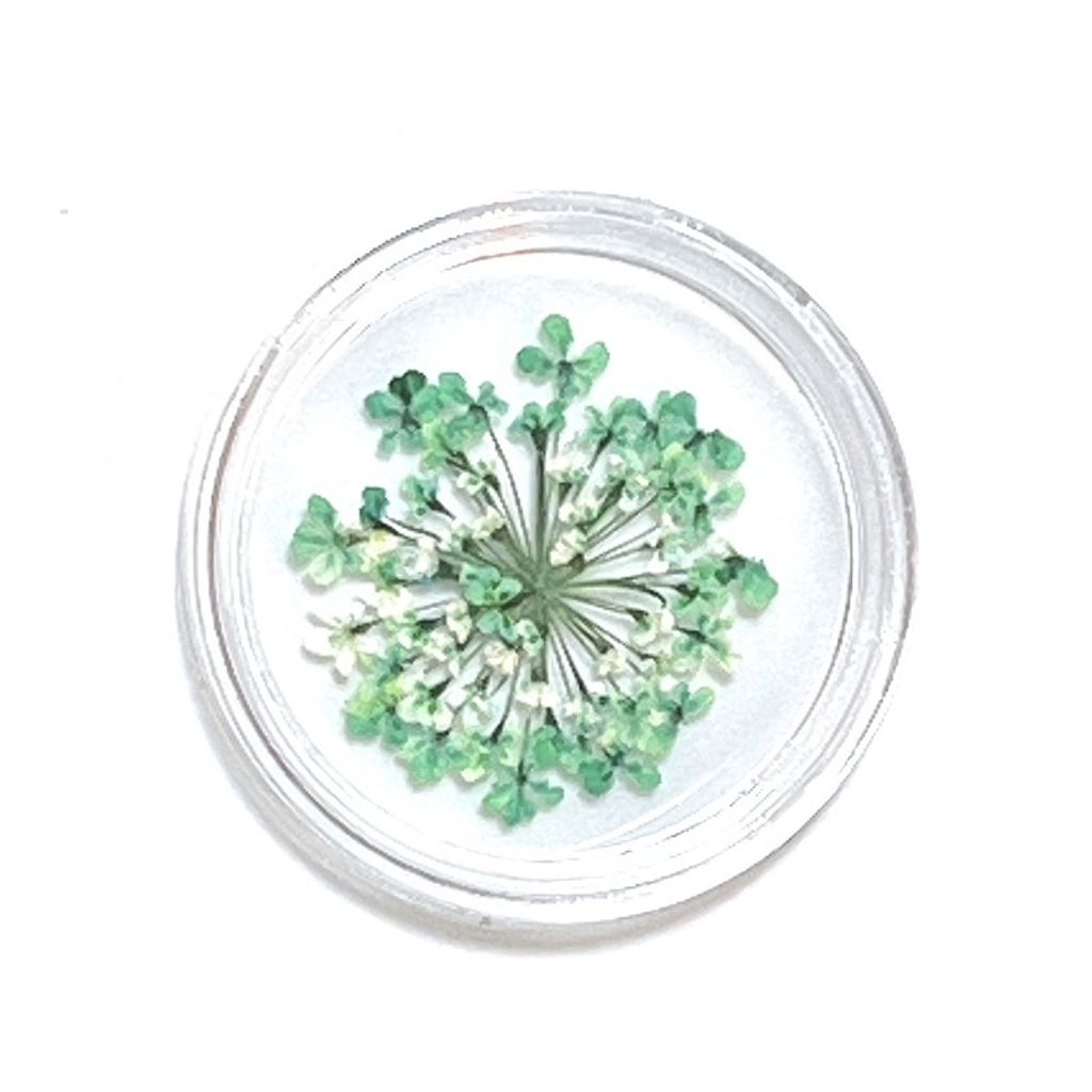 tw-11134201-23020-wvp6x7lq1znv17