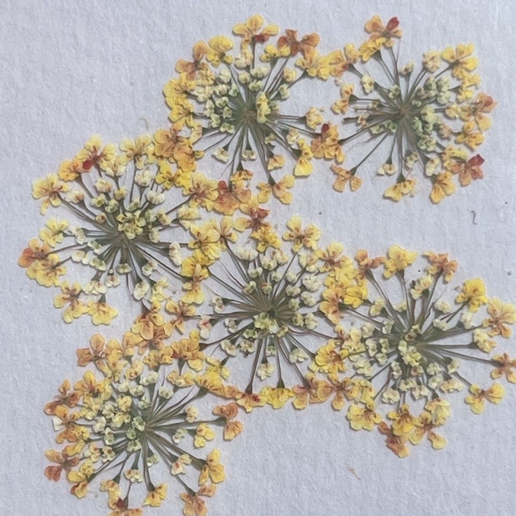 tw-11134201-23020-myil65vq1znv62