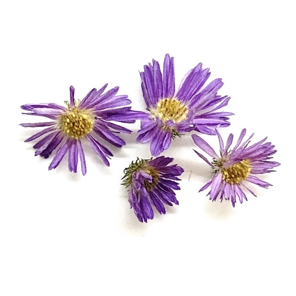 sg-11134201-23010-9lctidymvtmv77